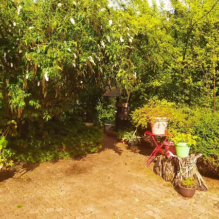 Cabane Cerise Dans L'Arbre Etapeboisee Fumay Exterior foto