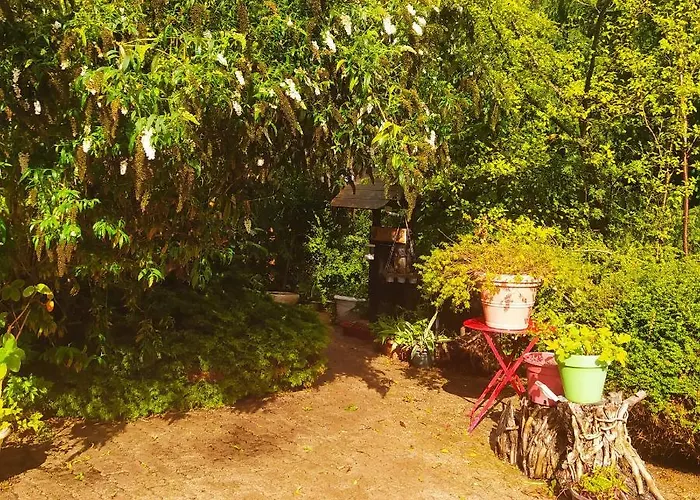 Cabane Cerise Dans L\'Arbre
