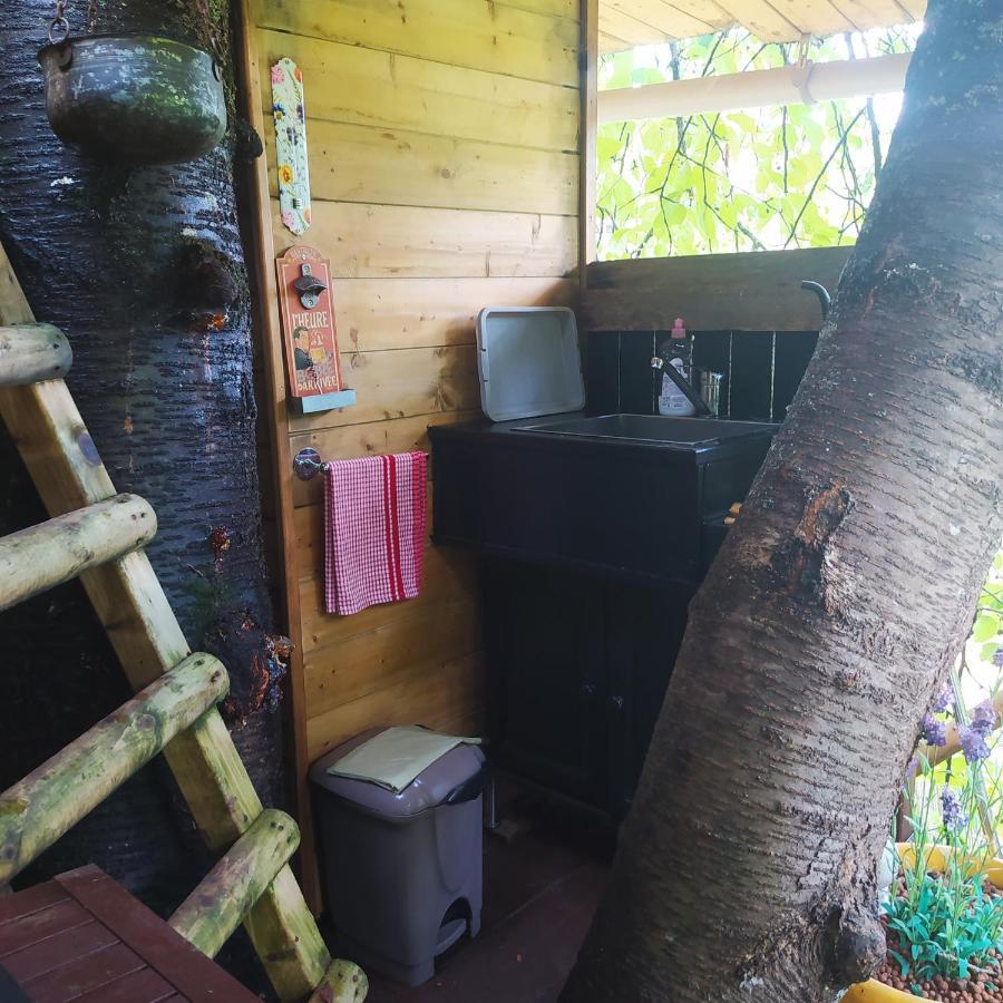 Tente de luxe Cerise Dans L'arbre